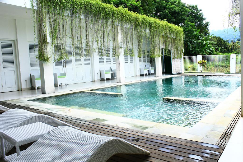 Villa Putih Lovina Екстер'єр фото